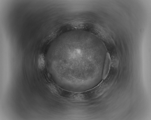 X0000113311298200909141303