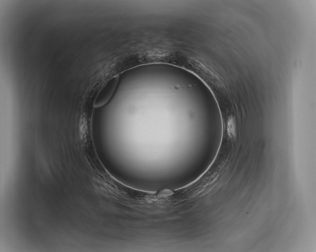 X0000113311299200909141303