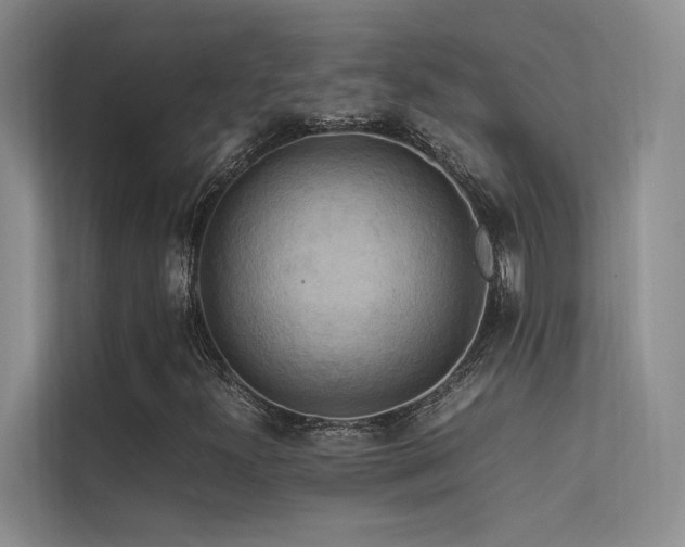 X0000113311300200909141304