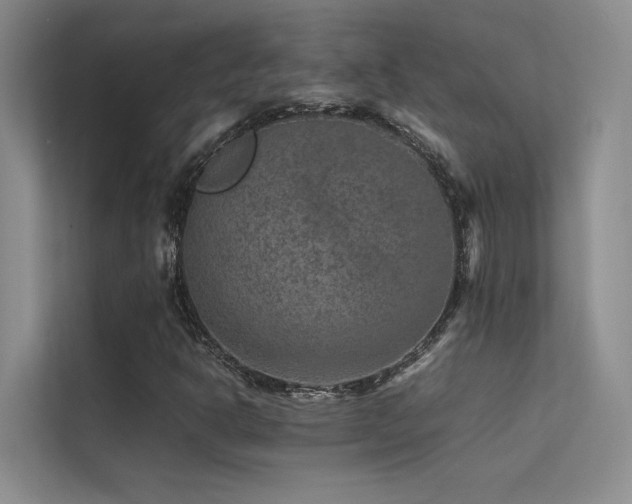 X0000113311302200909141304