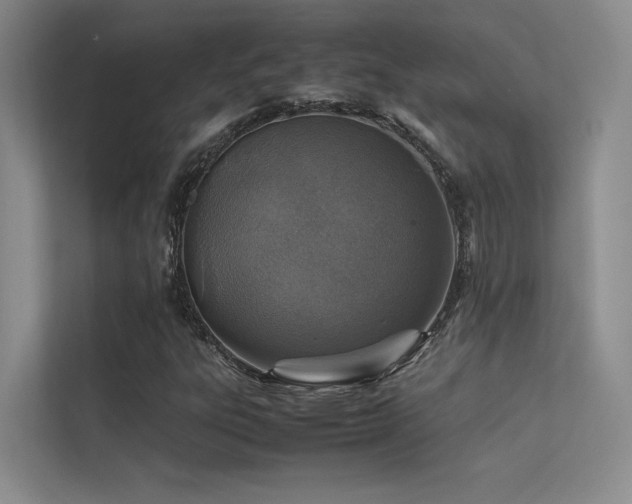 X0000113311303200909141304