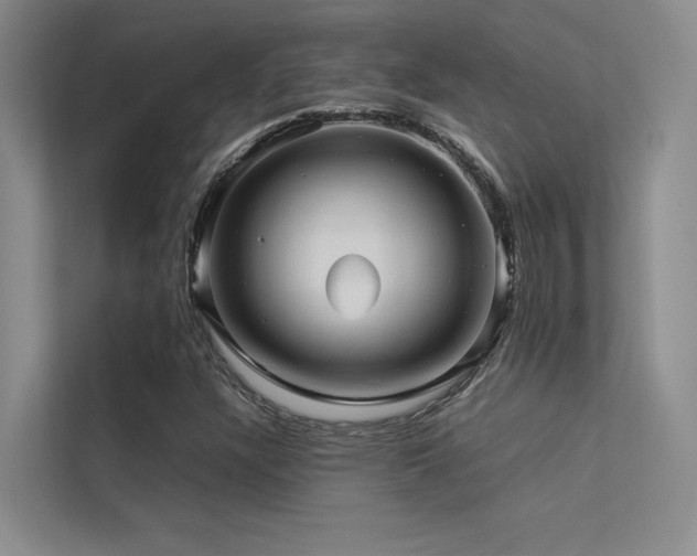 X0000113311304200909141304