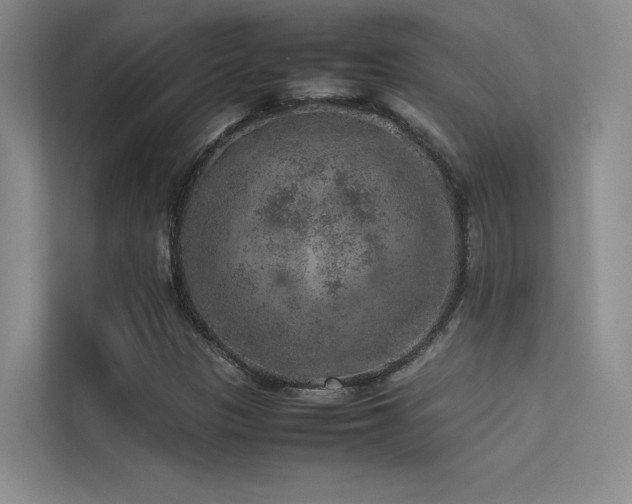 X0000113311305200909141304