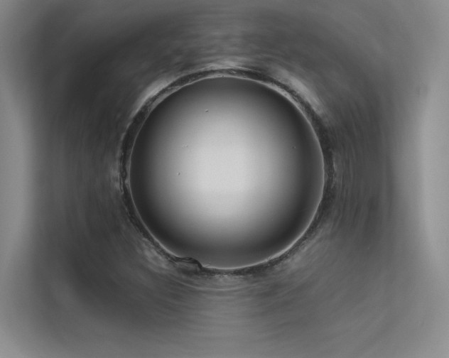 X0000113311308200909141304