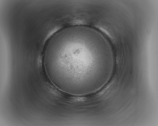 X0000113311309200909141304