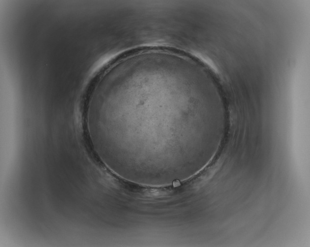 X0000113311311200909141304