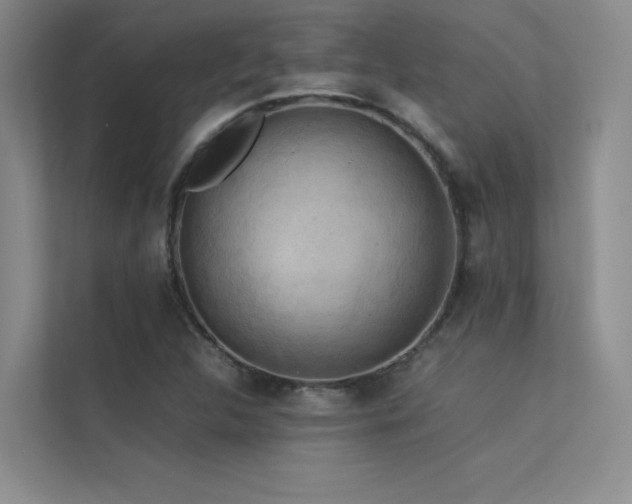 X0000113311312200909141304