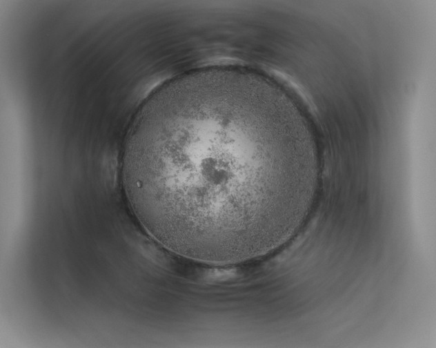 X0000113311313200909141304