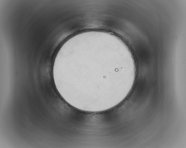 X0000113311314200909141304