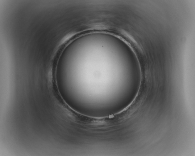 X0000113311315200909141304