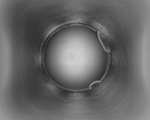 X0000113311316200909141304