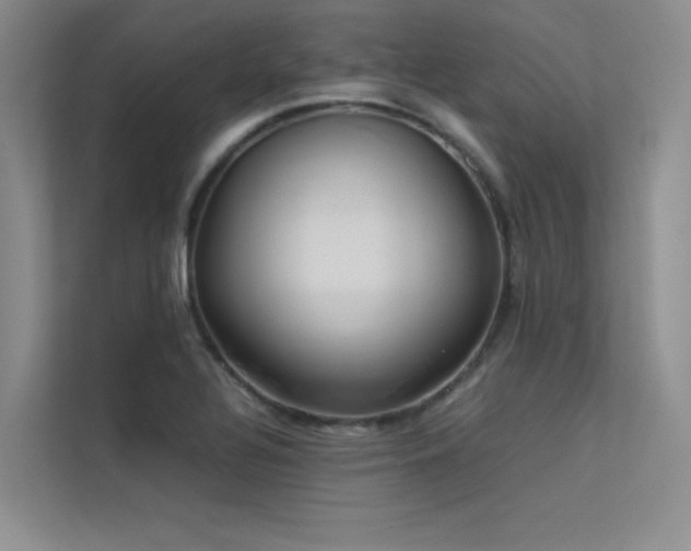 X0000113311320200909141304