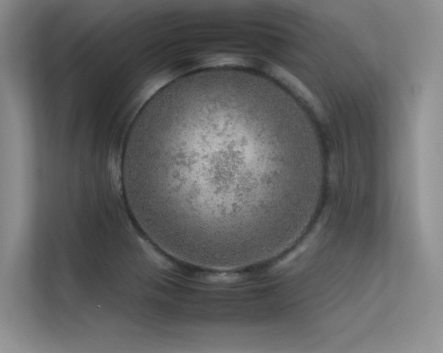 X0000113311321200909141304