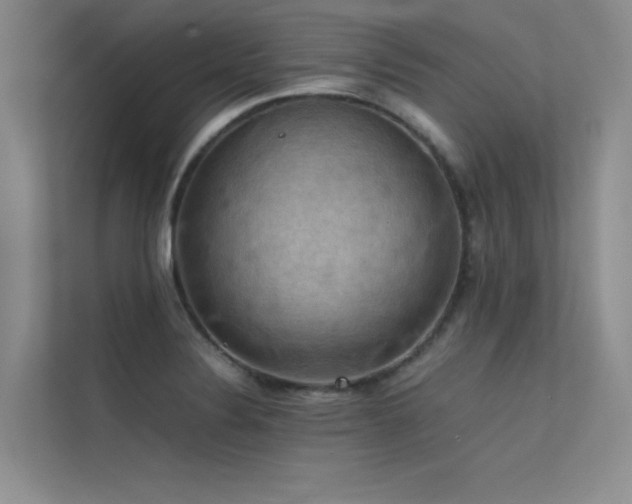 X0000113311324200909141304