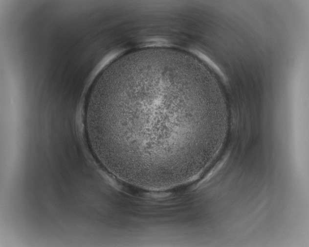 X0000113311325200909141304