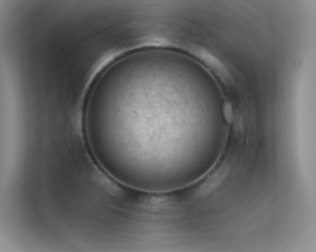 X0000113311326200909141304