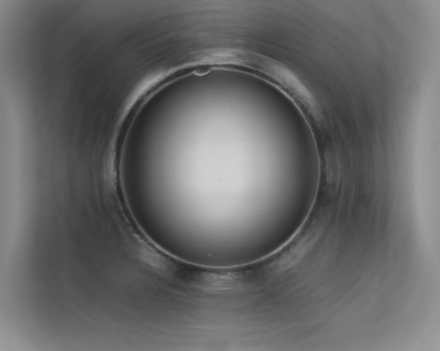 X0000113311328200909141304