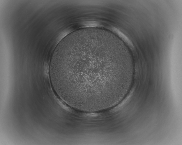 X0000113311329200909141304