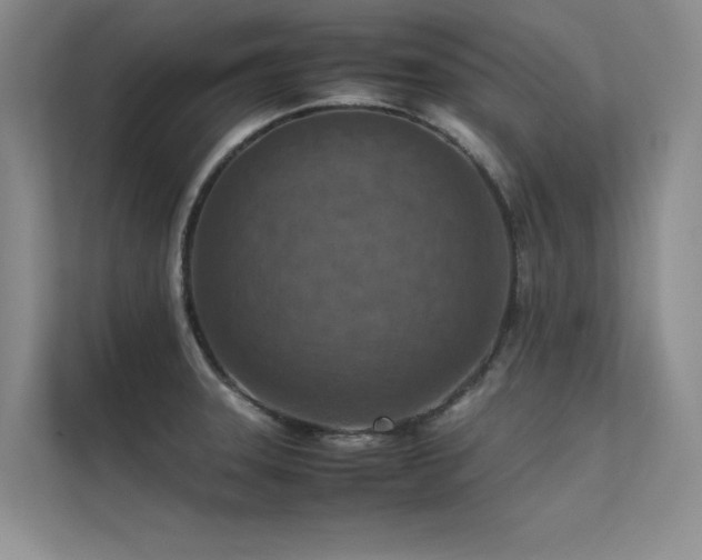 X0000113311331200909141304