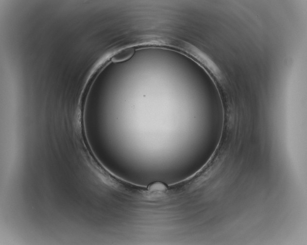 X0000113311332200909141304