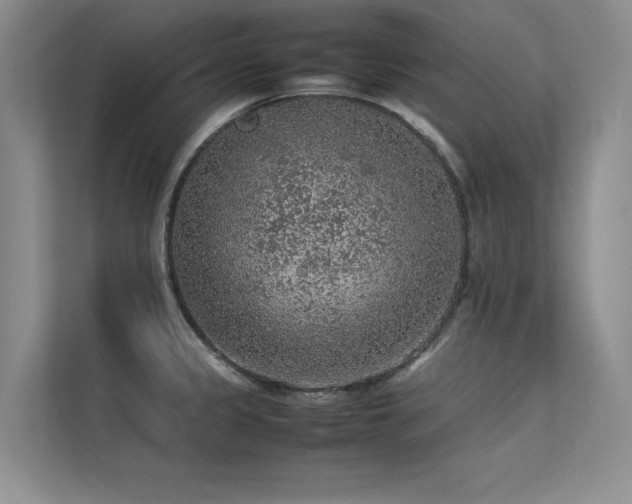 X0000113311333200909141304