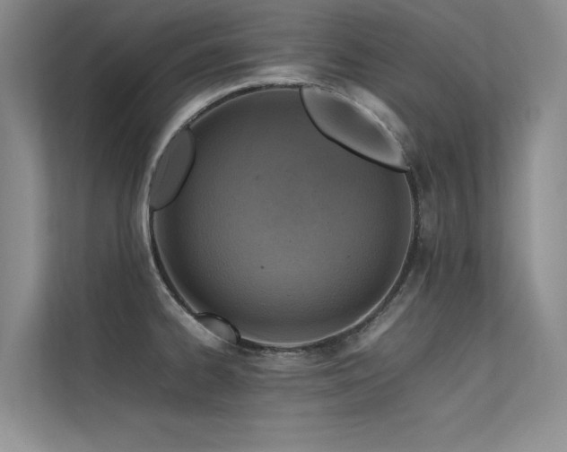 X0000113311334200909141304