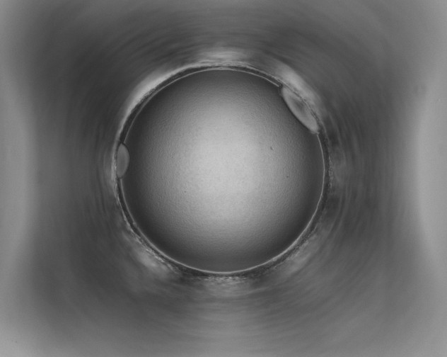 X0000113311336200909141304