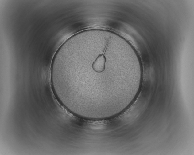 X0000113311338200909141304