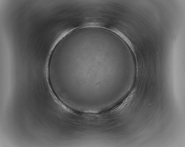 X0000113311341200909141304