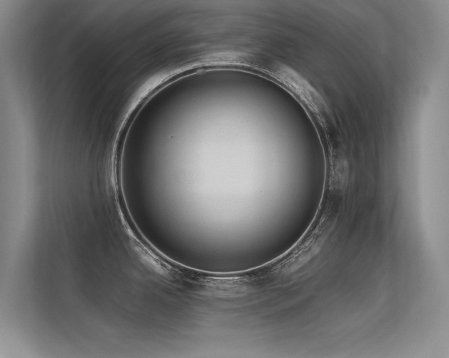 X0000113311342200909141304