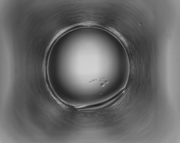 X0000113311343200909141304