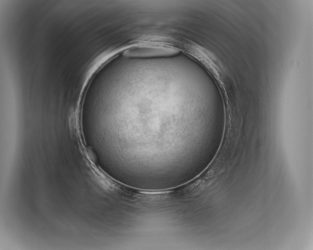 X0000113311344200909141304