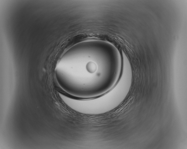 X0000113311345200909141303