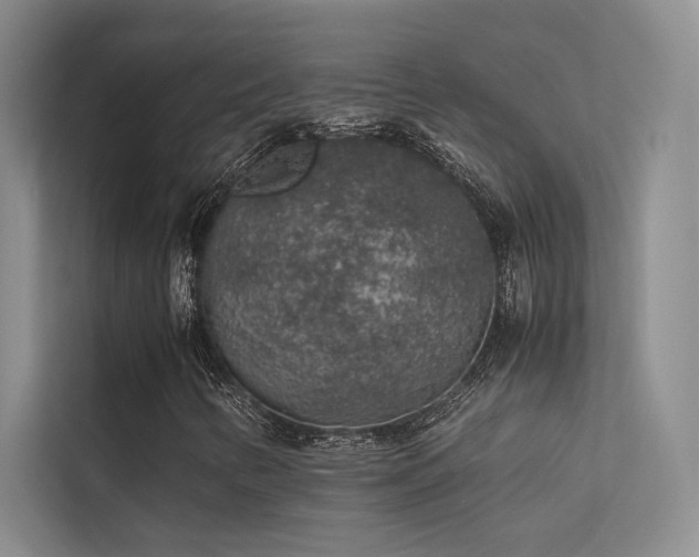 X0000113311346200909141303