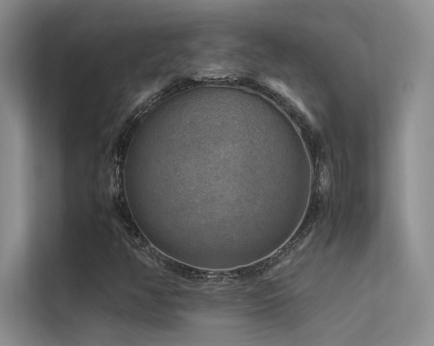 X0000113311350200909141303