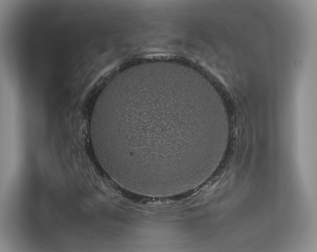 X0000113311351200909141303