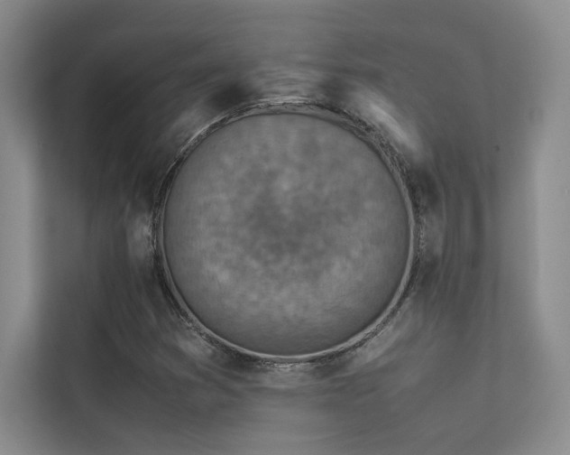 X0000113311353200909141303