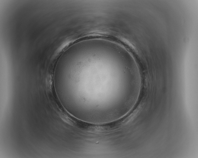 X0000113311355200909141303