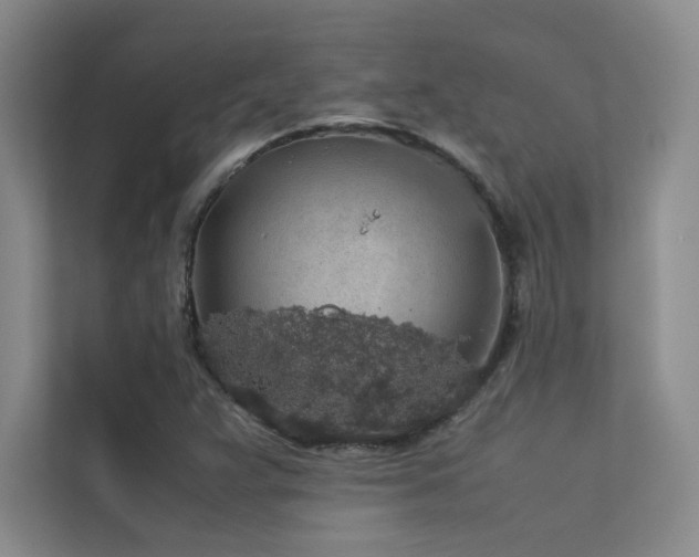 X0000113311359200909141303