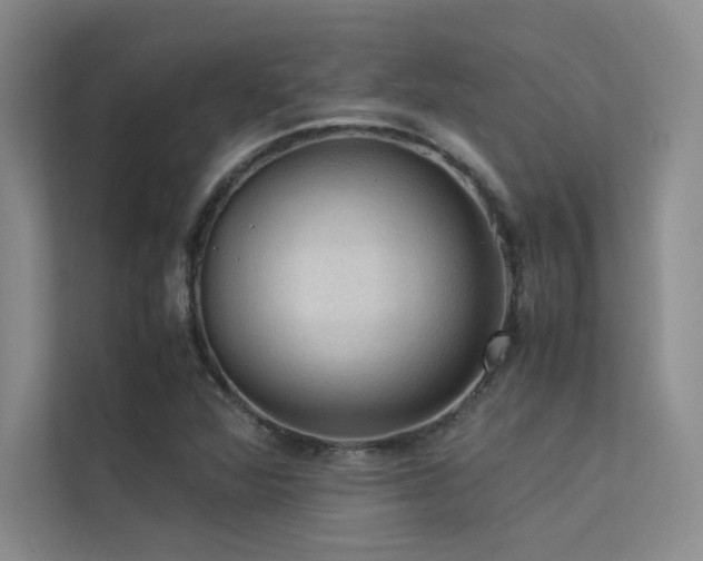 X0000113311360200909141303