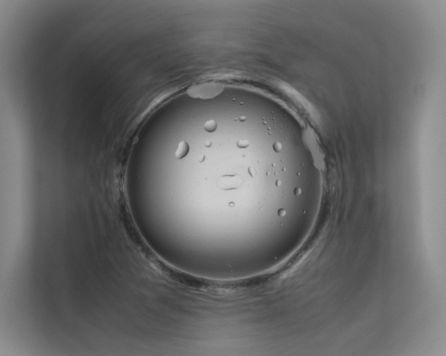 X0000113311361200909141303