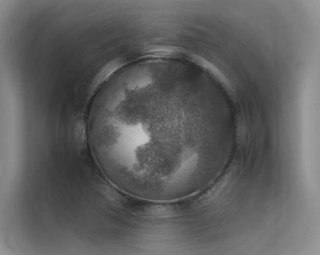 X0000113311362200909141303