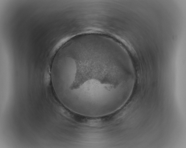 X0000113311363200909141303