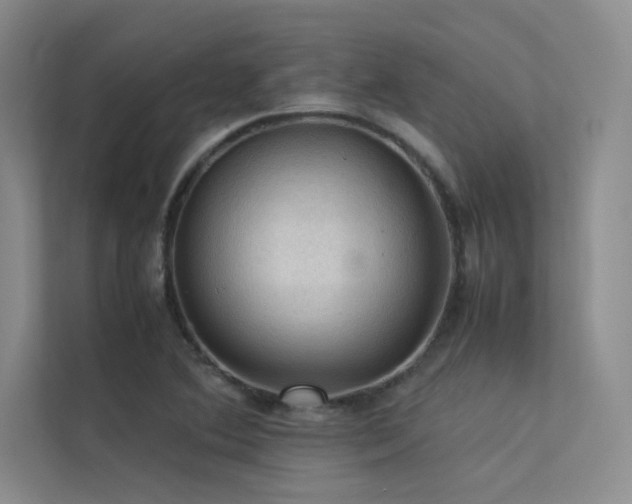 X0000113311364200909141303