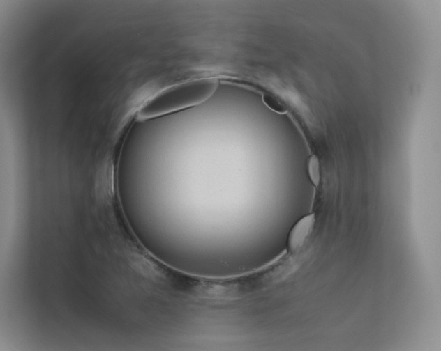 X0000113311365200909141303