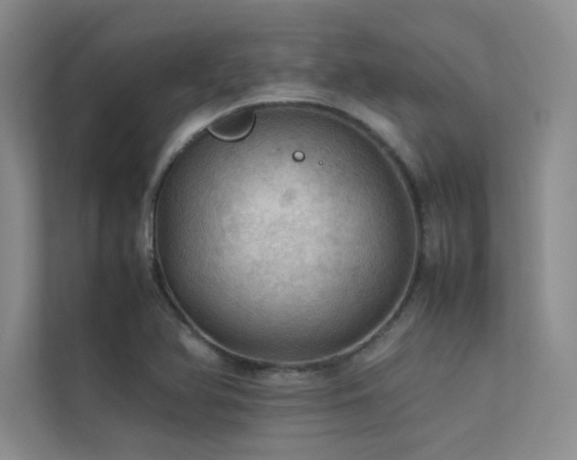 X0000113311366200909141303