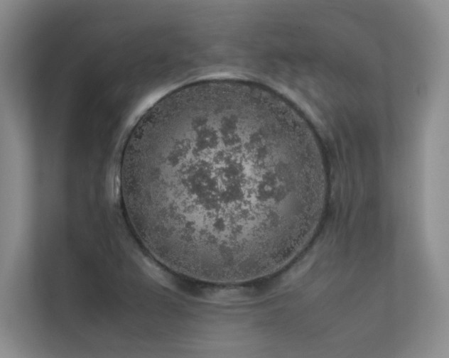 X0000113311367200909141303