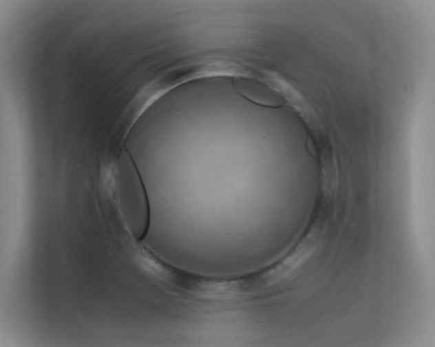 X0000113311369200909141303