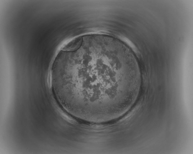 X0000113311371200909141303