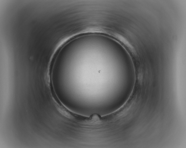 X0000113311372200909141303